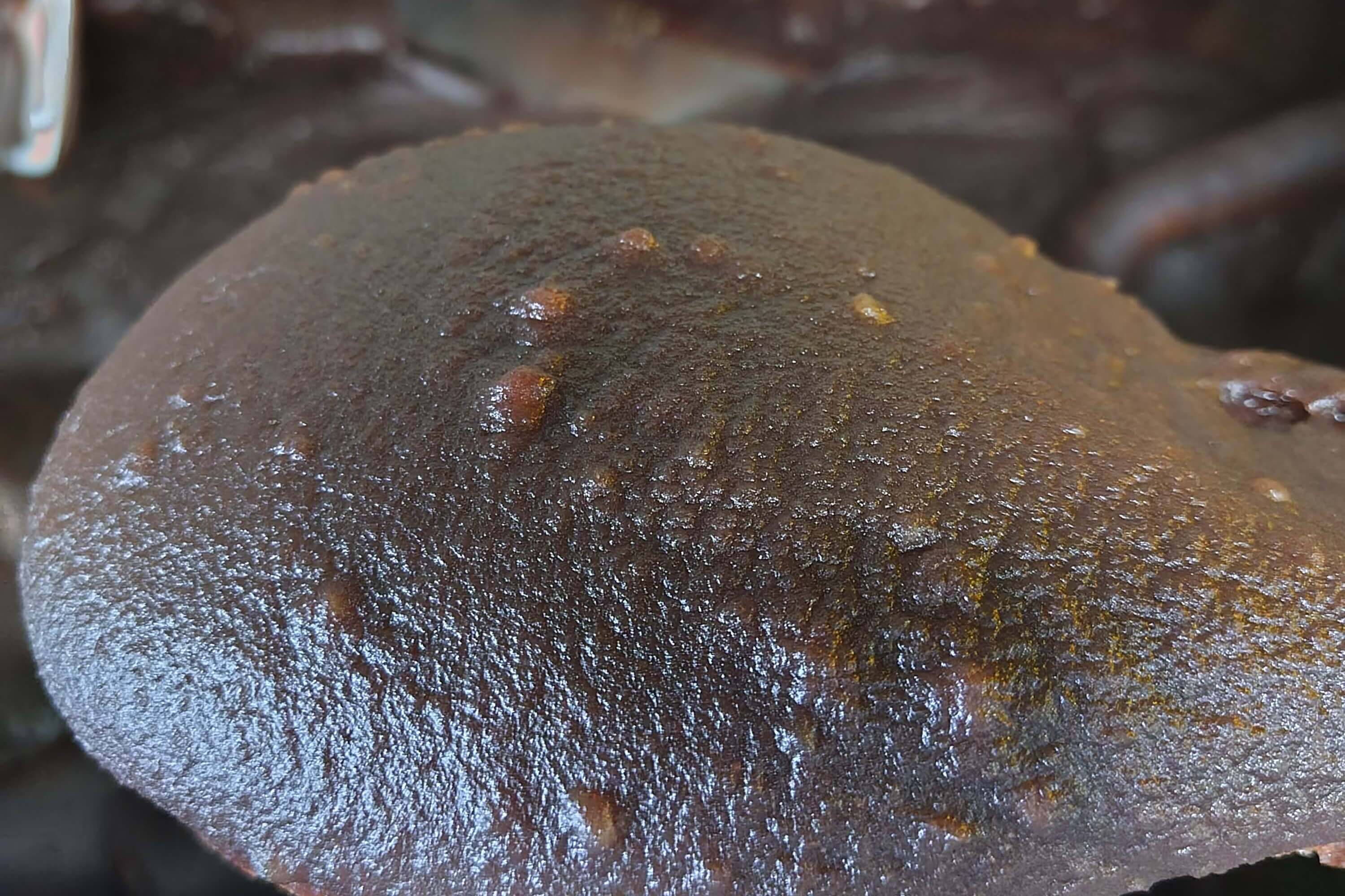 鳥居製餡のこだわり